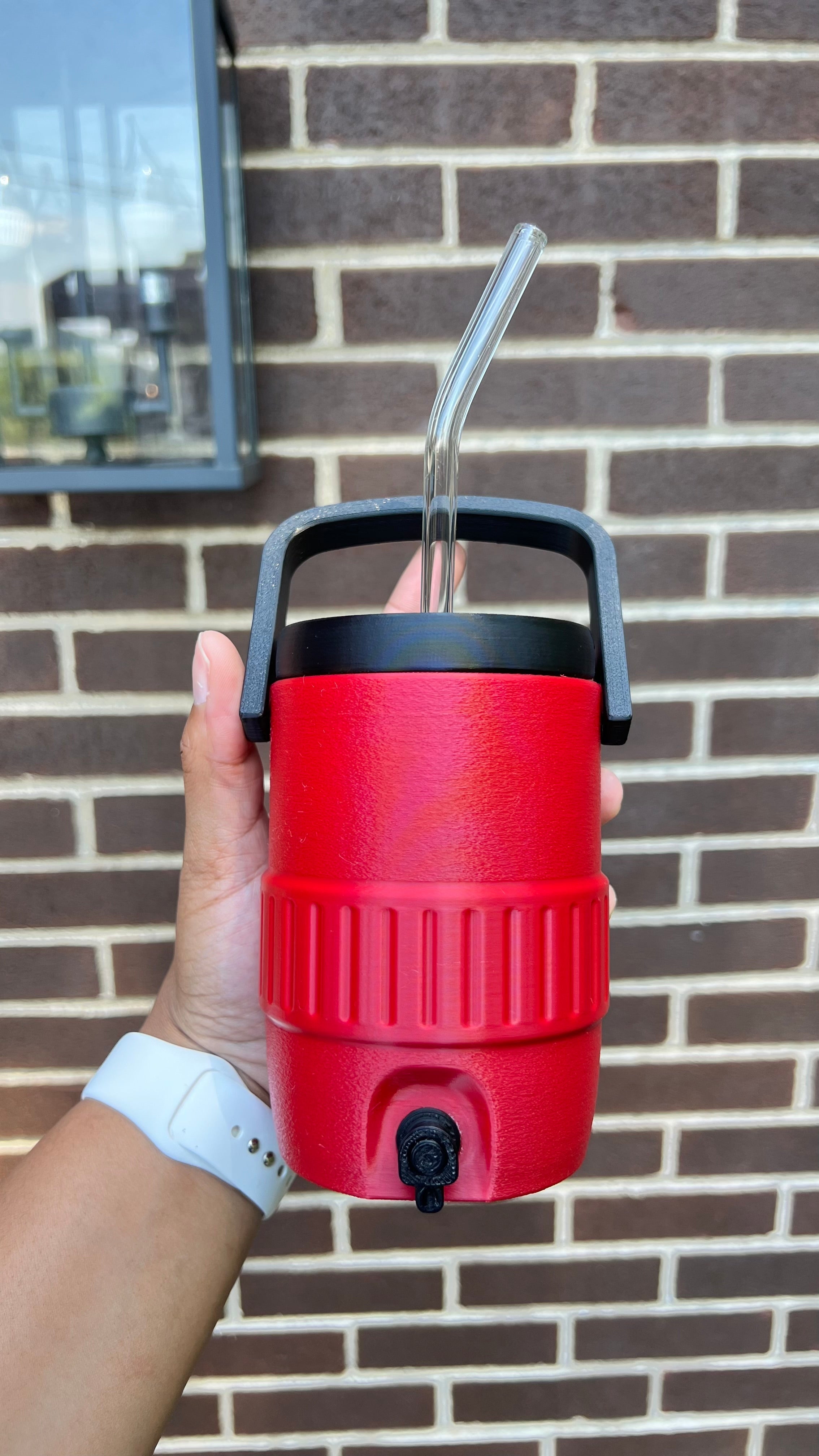 Summer Style Viral Cooler Style 12 oz. Drink Can Holder | Personalized Option Available | TikTok Famous