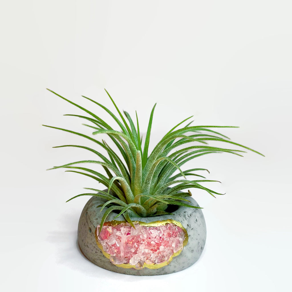 Geode Air Plant Holder -Amazonite Crystal Planter